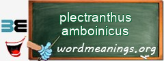 WordMeaning blackboard for plectranthus amboinicus